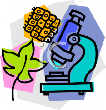 339x350 Science Lab Clipart