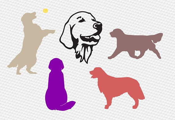 570x391 Golden Retriever Svg, Dog Svg, Dog Silhouettes Svg, Labrador Svg
