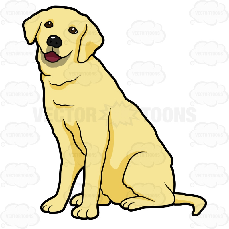800x800 Side View Of A Yellow Labrador Sitting Cartoon Clipart Vector Toons