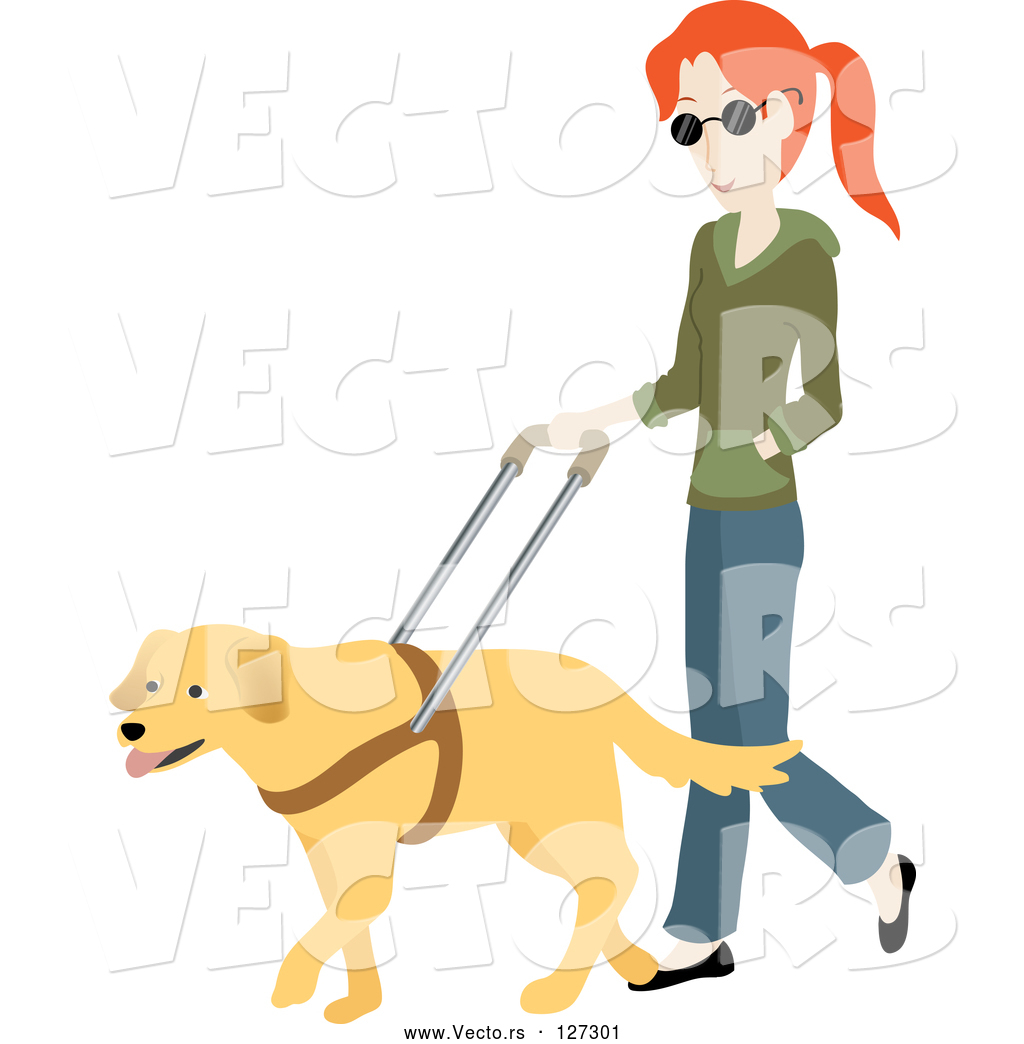 1024x1044 Vector Of Blind White Lady Walking With A Yellow Labrador Guide