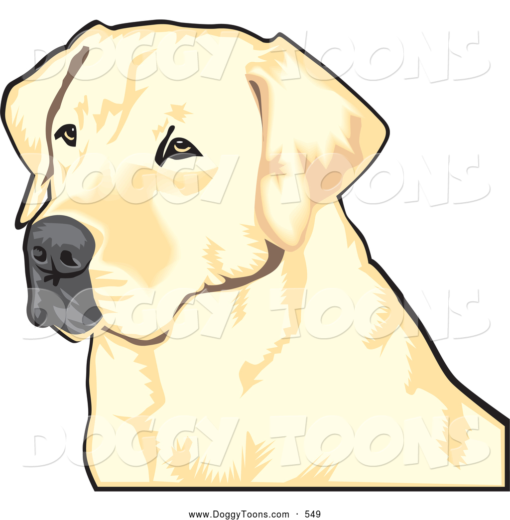 1024x1044 Royalty Free Labrador Stock Doggy Designs