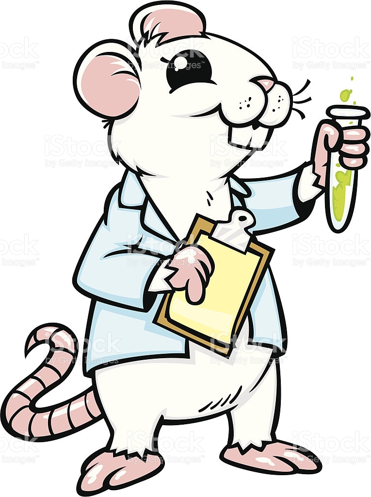 765x1024 Lab Animals Clipart Mouse Template Clip Art At Clker Com Vector