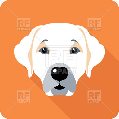 400x400 Head Of Labrador Retriever