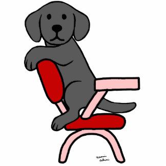 324x324 22 Best Labrador Images On Labrador, Labrador