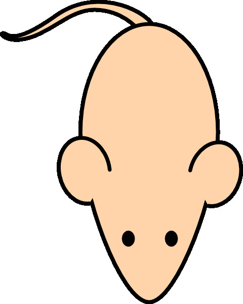 480x600 Yellow Lab Line Art Labrador Puppy How To Draw A Cute Cartoon Dog