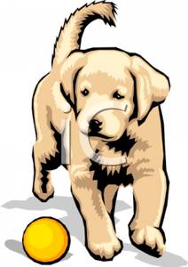 212x300 Clip Art Labrador Retriever Puppy Clipart