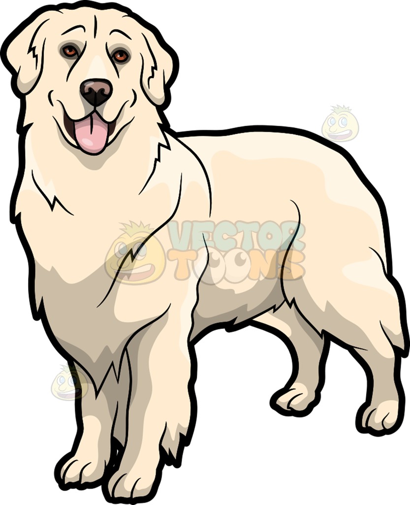 833x1024 Clip Art Golden Retriever Clip Art