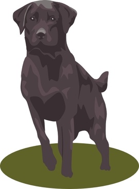 270x368 Labrador Retriever Vector Free Vector Download (12 Free Vector