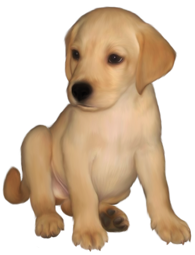 629x823 Painted Small Yellow Labrador Retriever Png Picture Digital