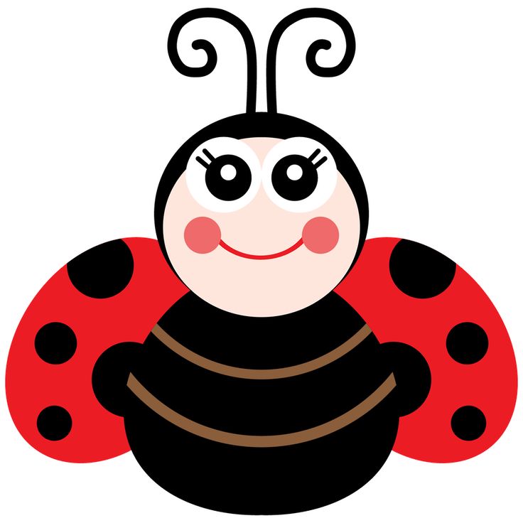 736x736 Ladybug Cartoon Clip Art Lady Beetle Clipart Cute Ladybug 20