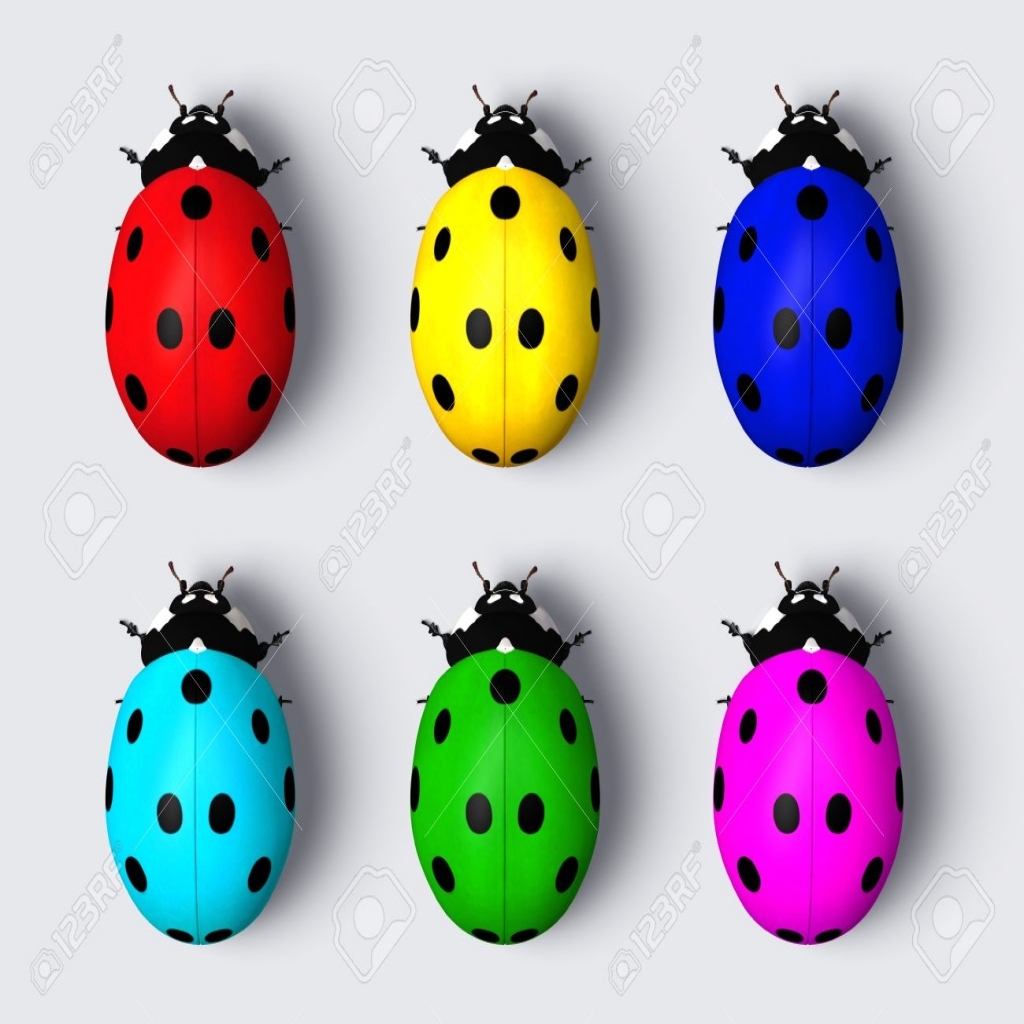 1024x1024 Top View Of Six Ladybugs With The Back Colored With Different