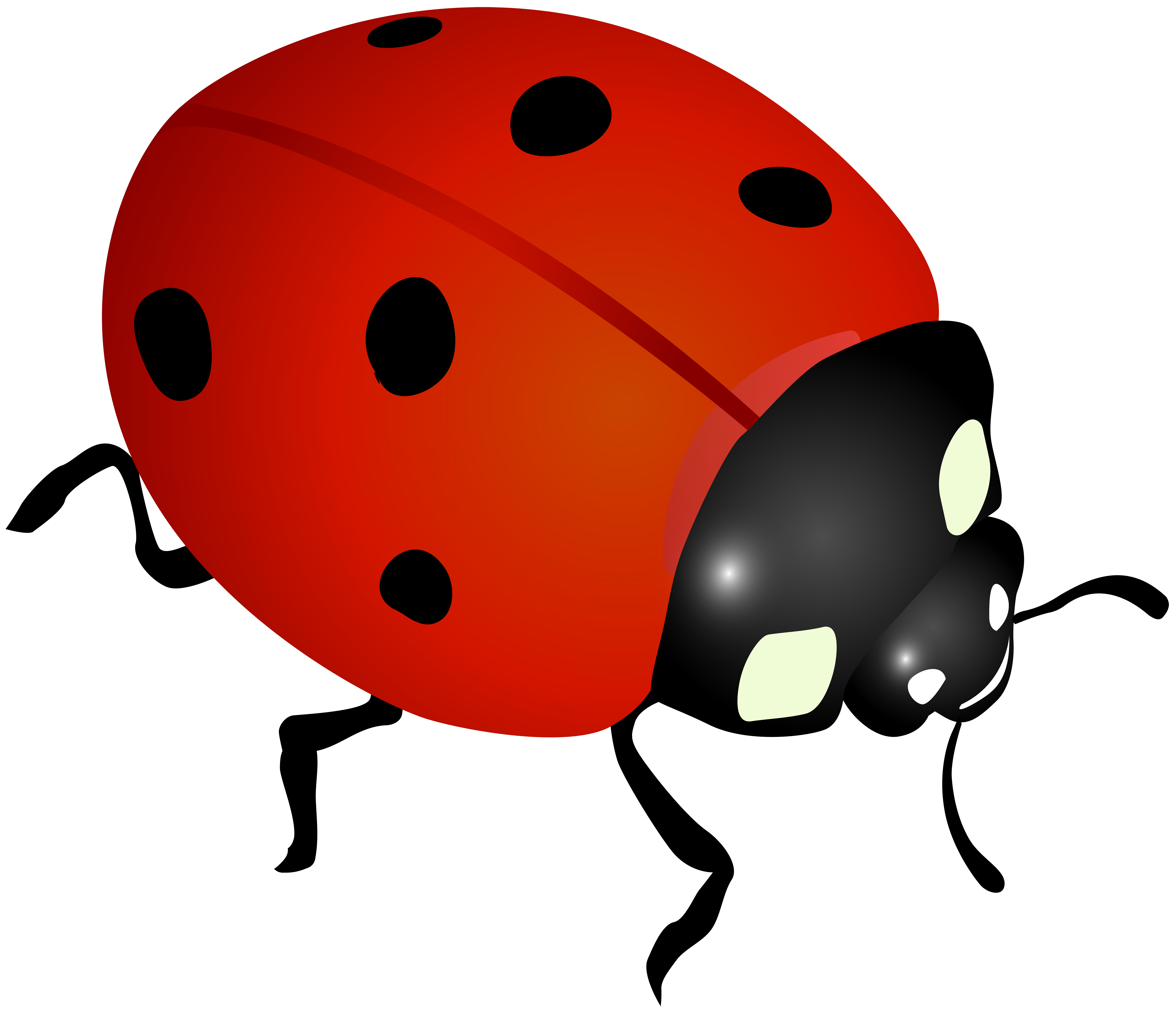 8000x6865 Ladybug Clip Art Imageu200b Gallery Yopriceville