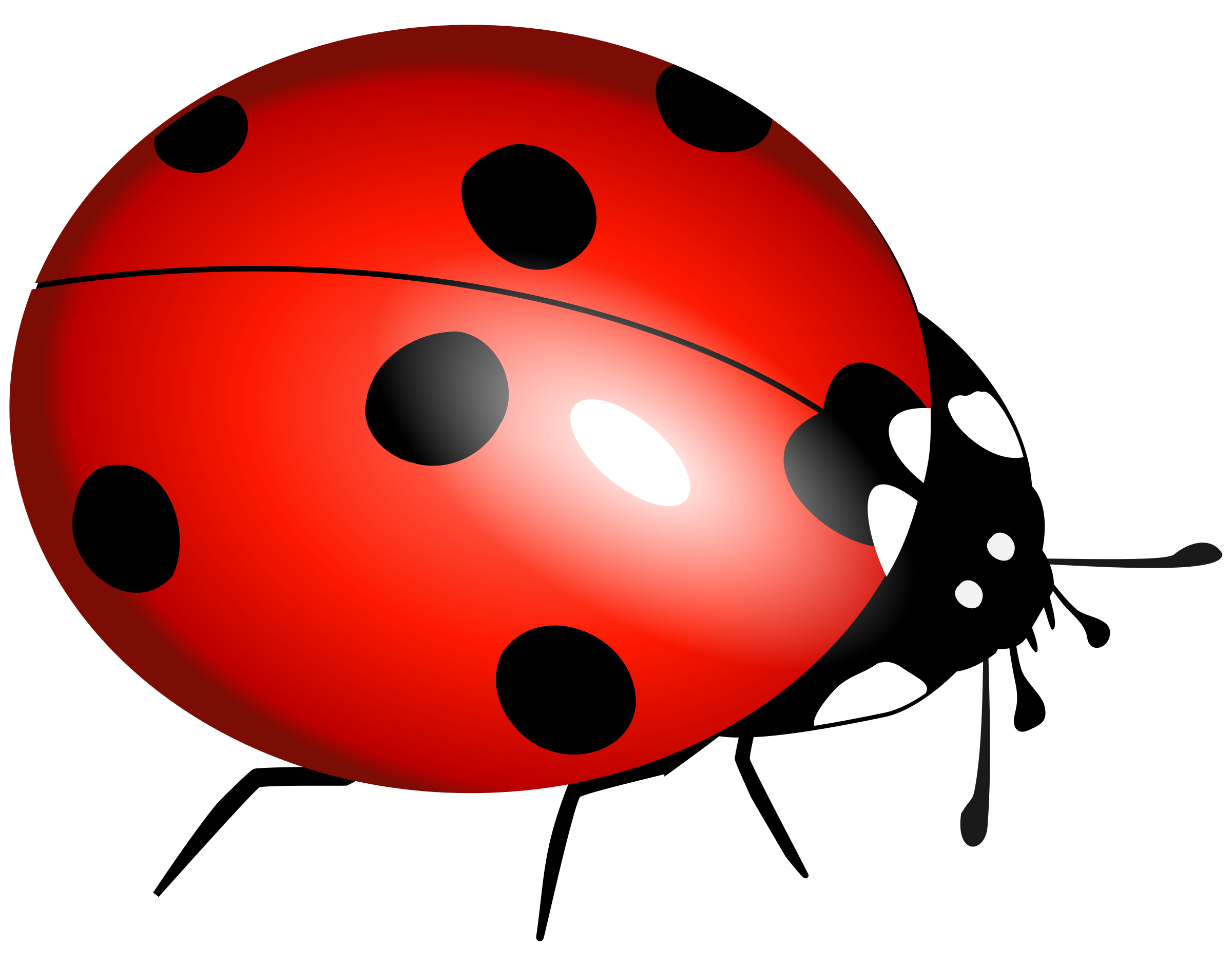 2400x1882 Ladybug Clipart File