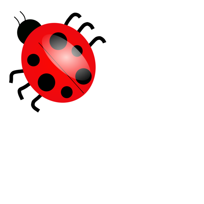 700x700 Cartoon Ladybug Clip Art
