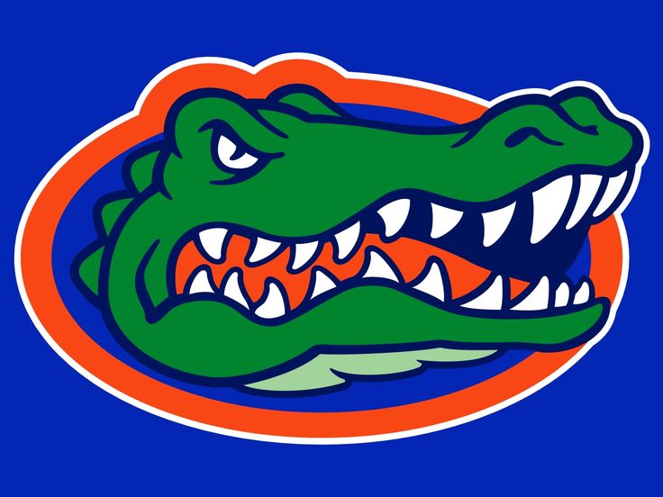 736x552 Collection Of University Of Florida Clipart High Quality