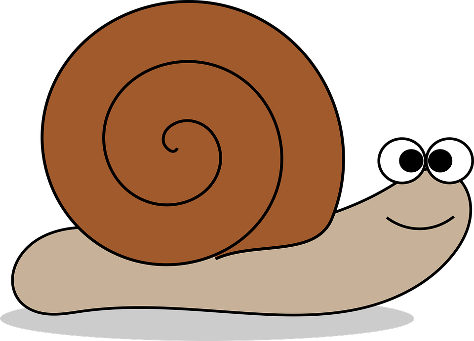 960x691 Mollusc Clipart Land Animal