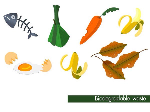 600x450 Waste To Landfill Clip Art