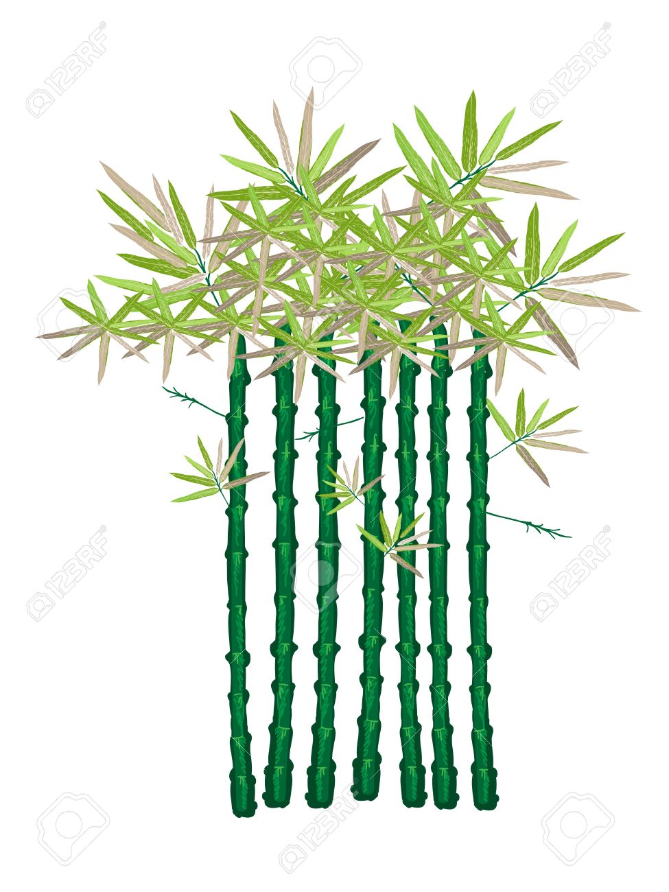 975x1300 Bamboo Garden Clipart