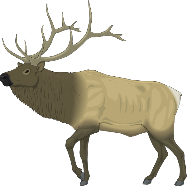 600x597 Image Of Moose Clipart 8 Large Mammals Clip Art Images Free