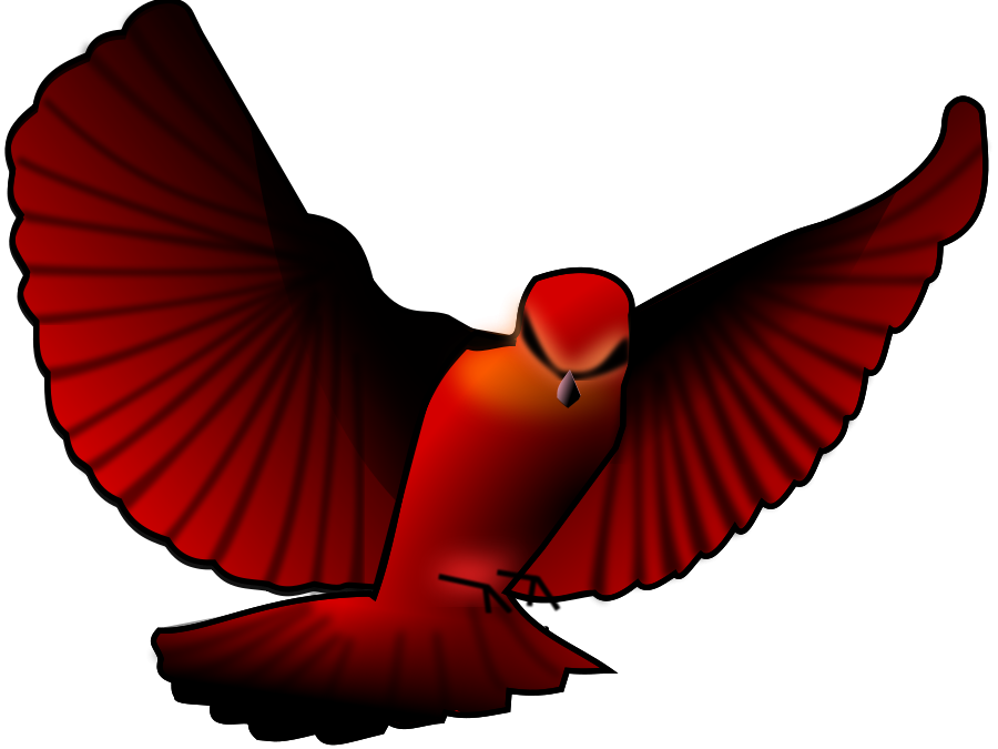 900x675 Parrot Clipart Large