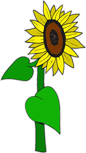 300x531 Free Sunflowers
