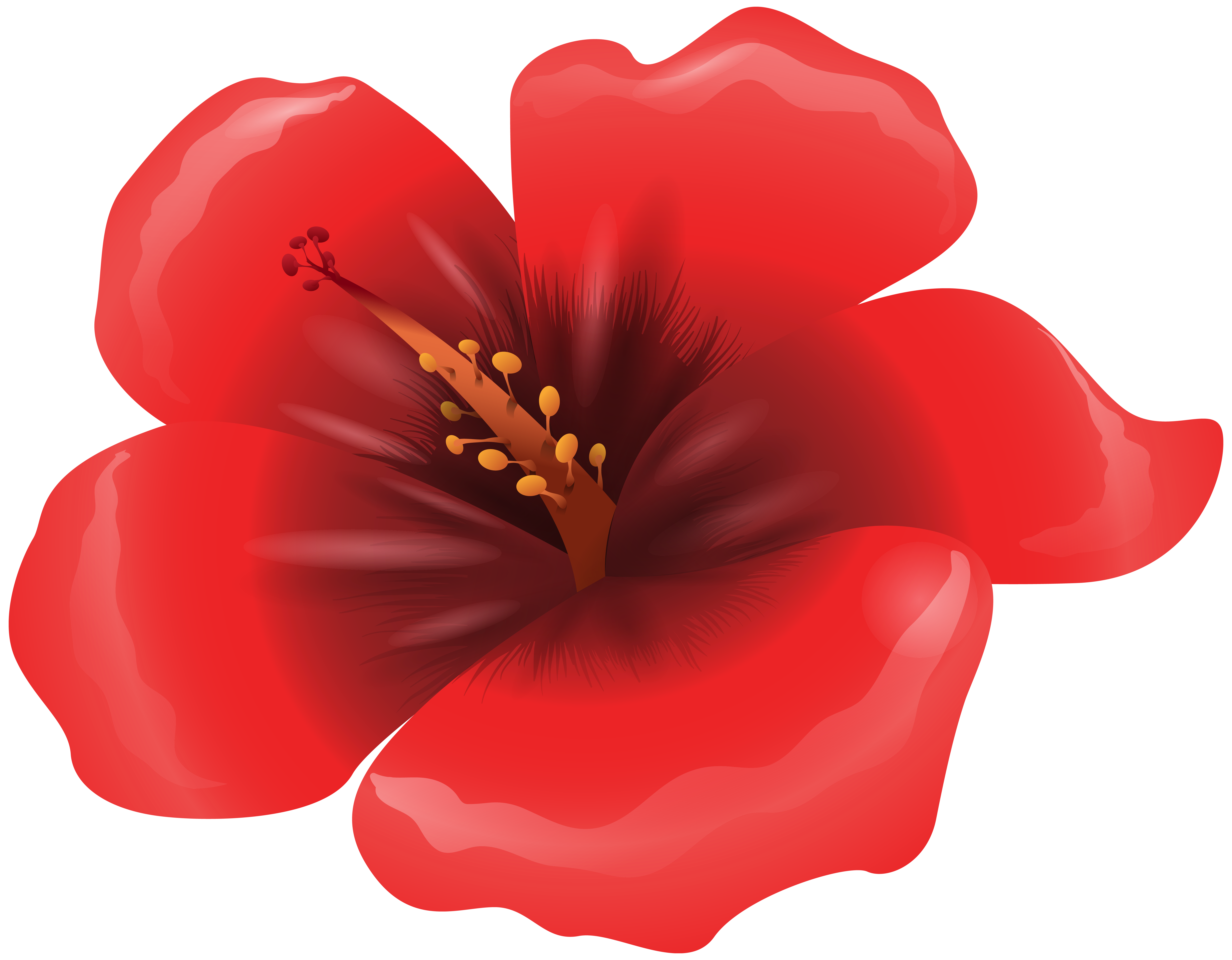 6250x4869 Large Red Flower Clipart Png Imageu200b Gallery Yopriceville