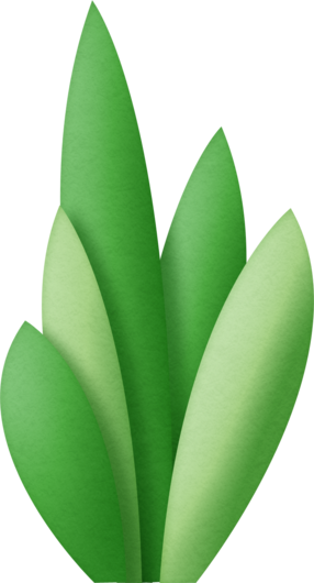 286x530 Succulent Clip Art