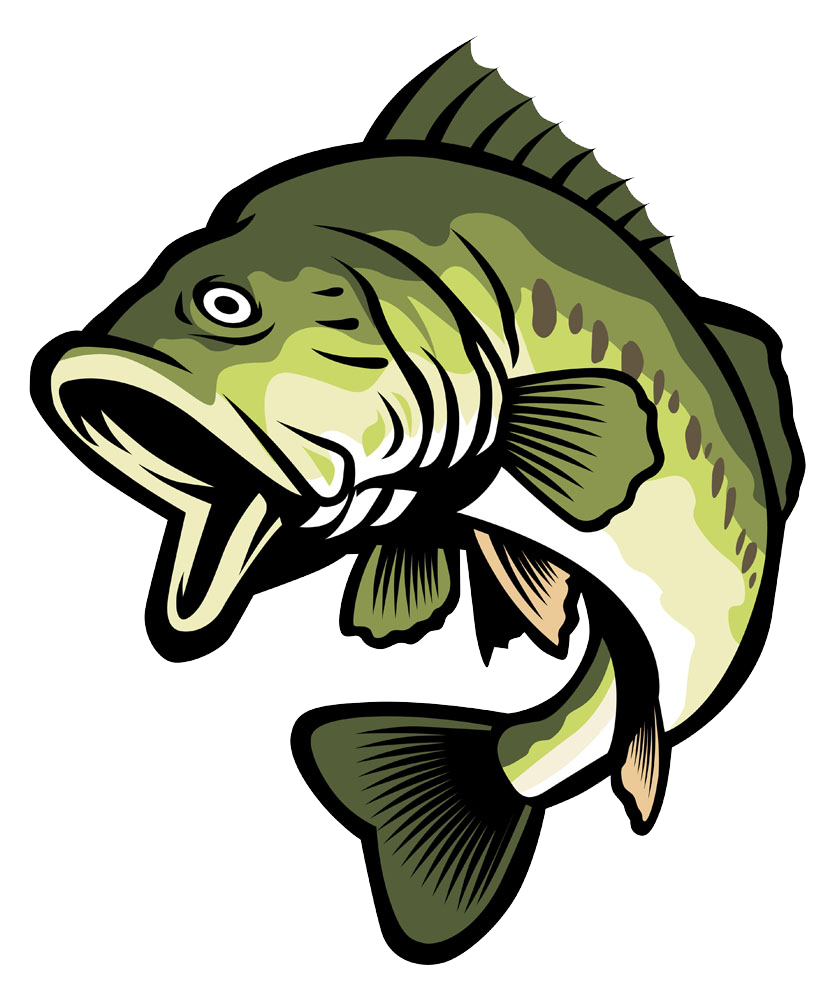 Largemouth Bass Clip Art Bait Fish Png Download 7981000 Free Images ...