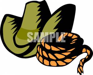 300x243 A Cowboy Hat And A Lasso