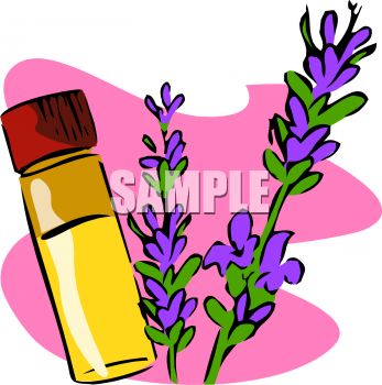 347x350 Vial Of Essential Oil Made With Lavender