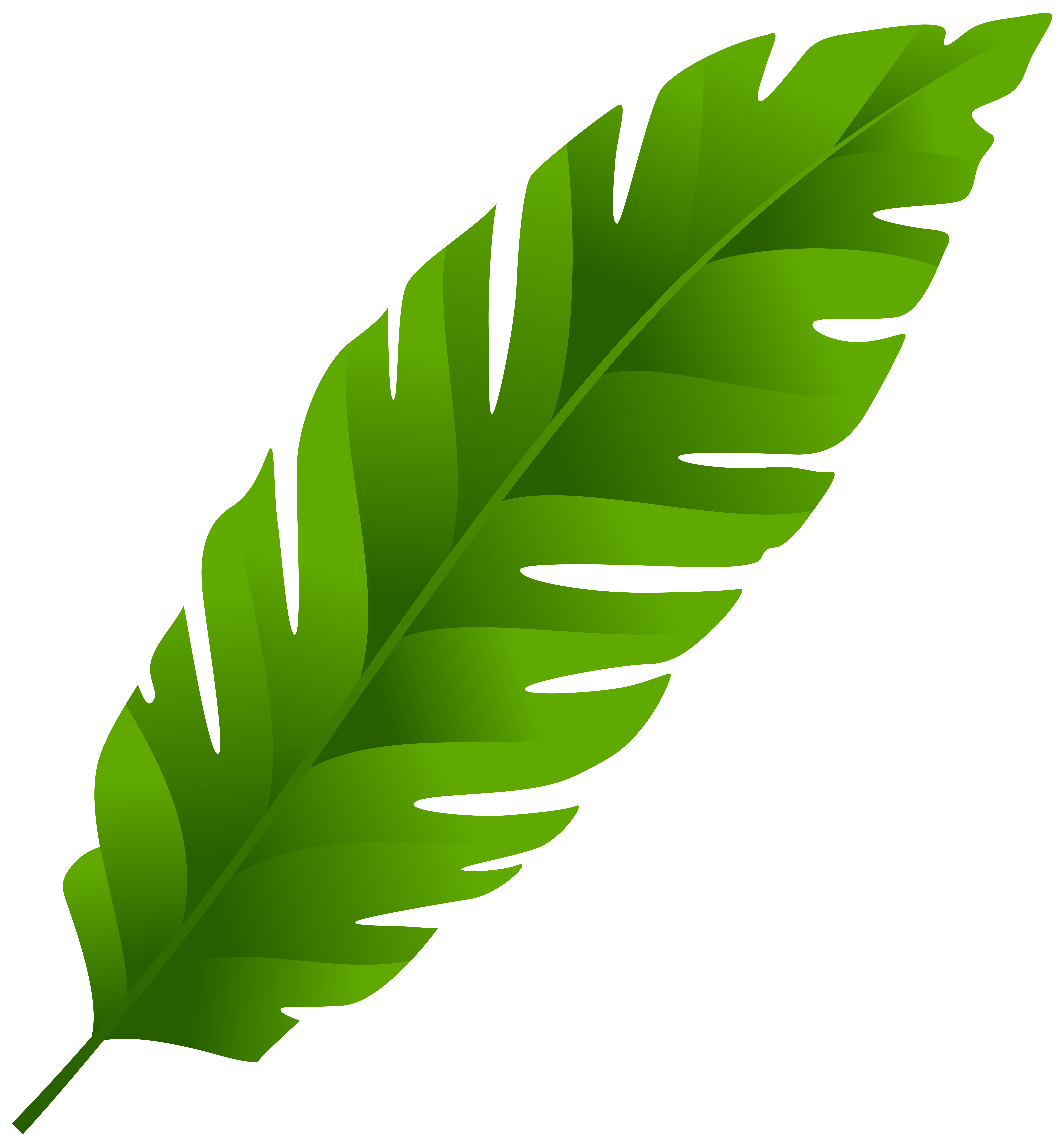 7423x8000 Green Leaf Png Clip Art