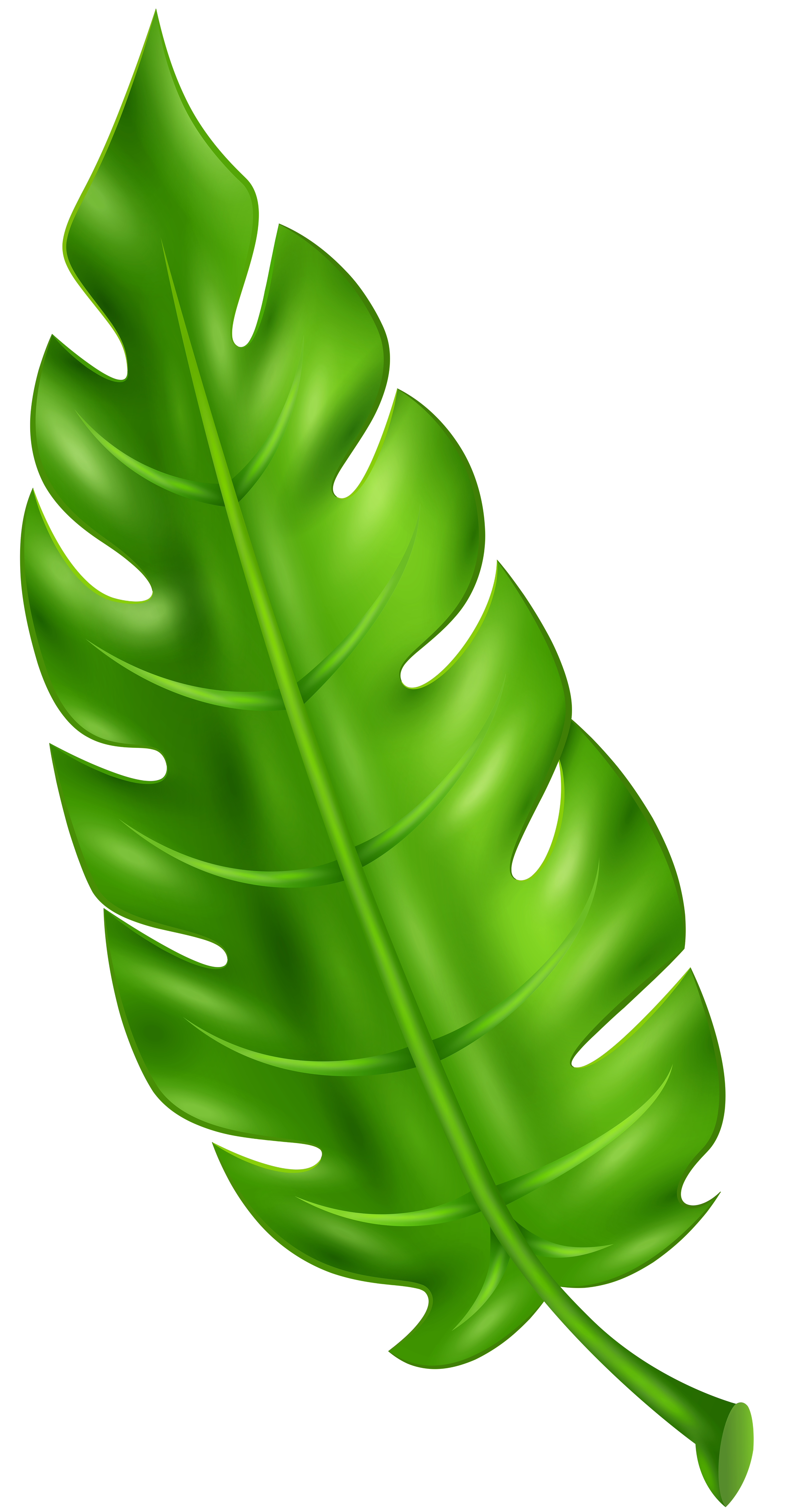 3127x6000 Exotic Green Leaf Clip Art Png Imageu200b Gallery Yopriceville