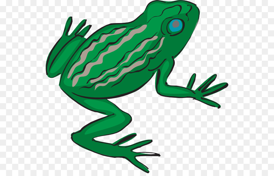 900x580 Frog Legs Drawing Clip Art