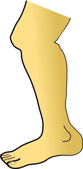 294x592 Leg Clip Art