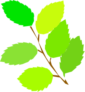 276x299 Leaf Lemon Clipart, Explore Pictures