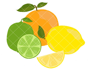 340x270 Citrus Fruits Clipart