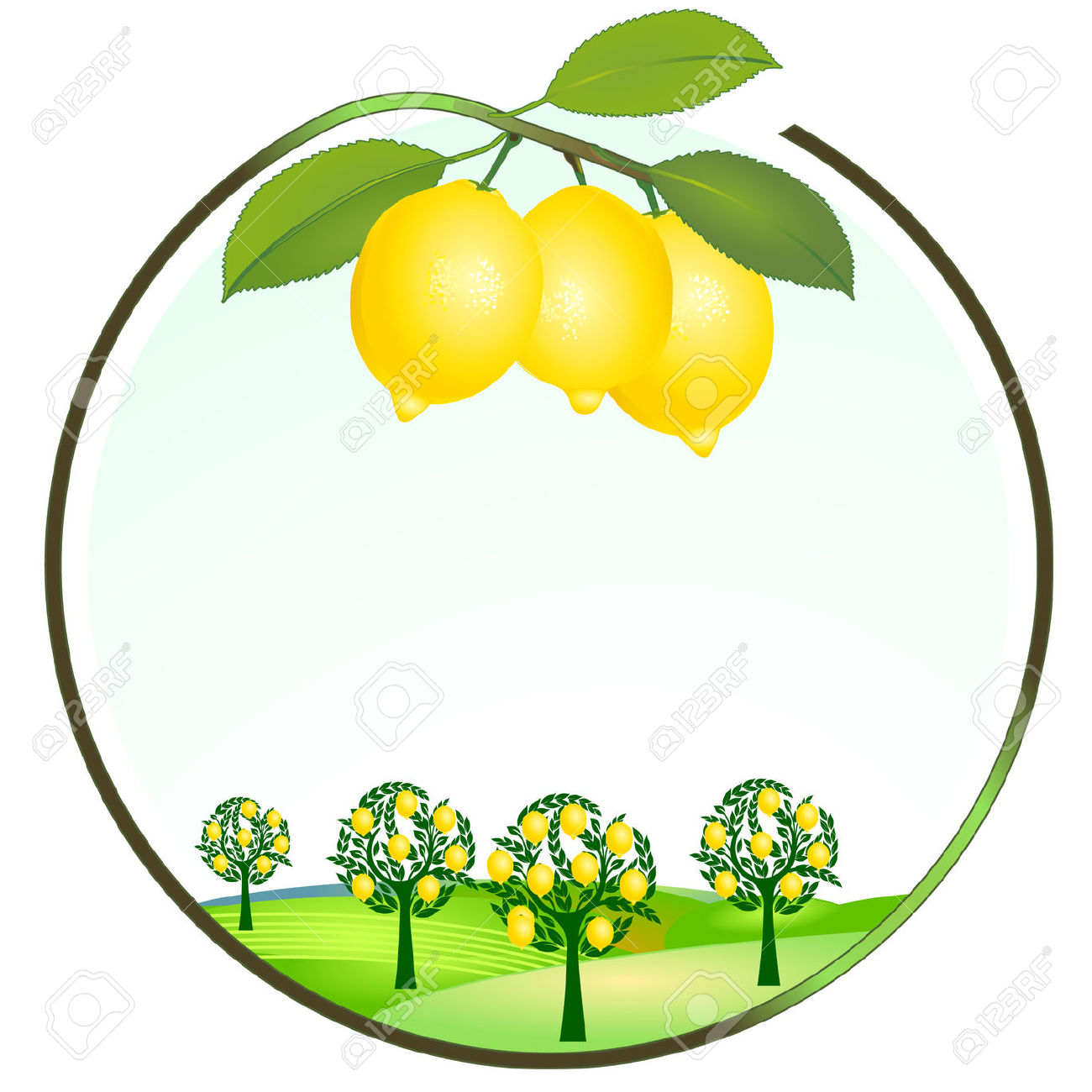 1300x1300 Lemon Clip Art Free Clipart Images 2