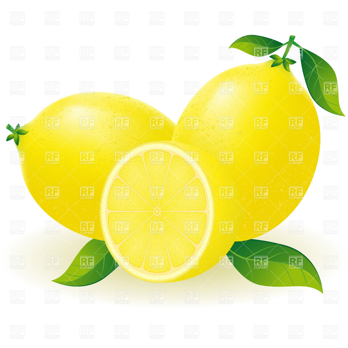 1200x1199 Lemon With Segment Vector Image Vector Artwork Of Plants