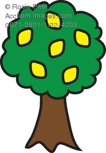 209x300 Clipart Lemon Tree Royalty Free Clip Art Vector Images