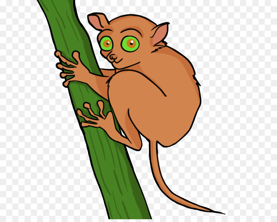 900x720 Tarsier Royalty Free Clip Art