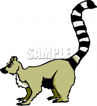 322x350 Lemur Clip Art Clipart Panda