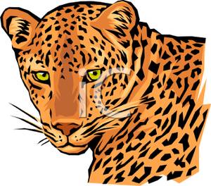 300x264 The Face Of A Leopard Clip Art Clipart Panda