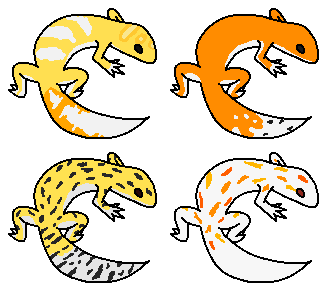 324x288 Leopard Gecko Imports 2 (24 Open) By Bloodredkit