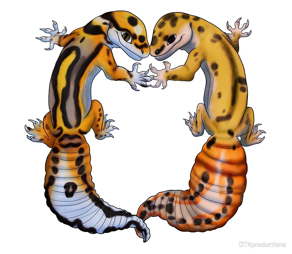 1000x868 Leopard Gecko Love By Dtkproductions Redbubble