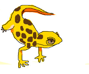 300x250 A Leopard Gecko!