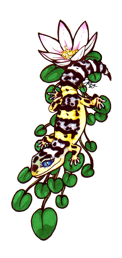 400x843 Leopard Gecko Dreams By Iellos