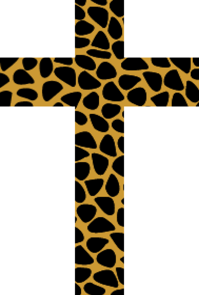 673x1000 J.a.z.e Attire Leopard Print Cross
