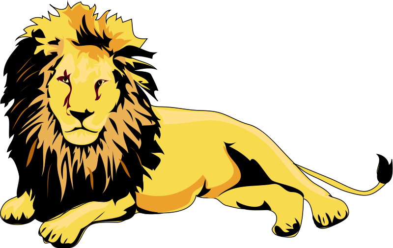 800x505 Lion Animal Clipart Pictures Royalty Free Clipart Pictures Org
