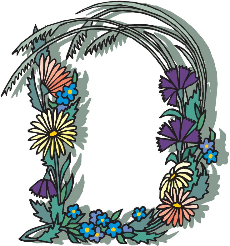 736x787 Best 474 Letter D Images On Letters, Alphabet