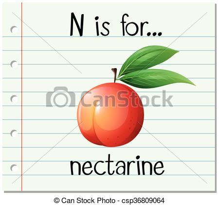 450x421 Flashcard Letter N Is For Nectarine Illustration Clip Art Vector